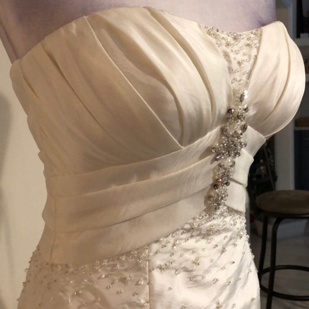 NWT Venus Mini Imperial Taffeta (Ivory) - Picture 8 of 8